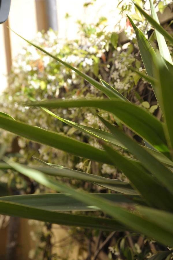 סנרמו Giardino In Citta; Centralissimo מראה חיצוני תמונה