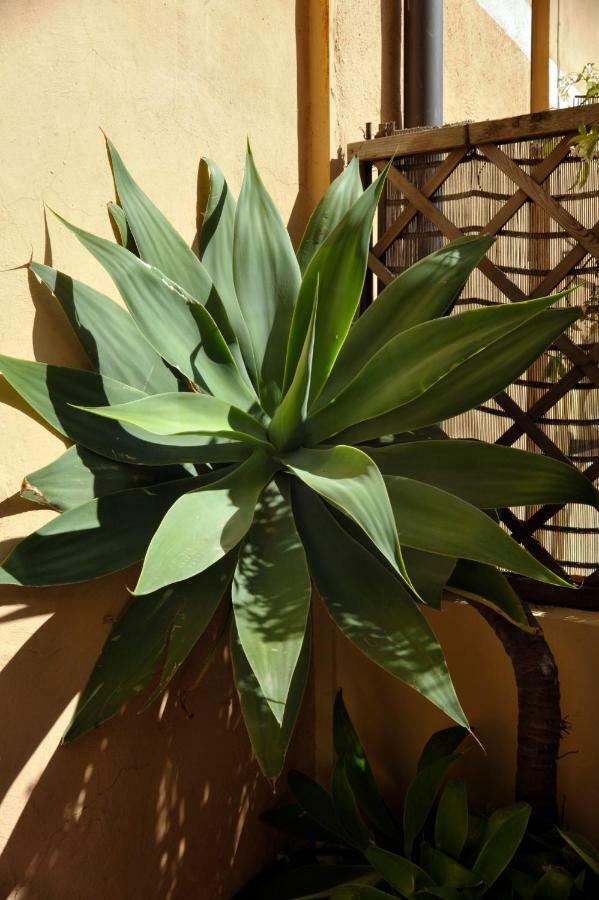 סנרמו Giardino In Citta; Centralissimo מראה חיצוני תמונה